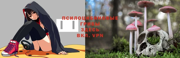 таблы Богородск