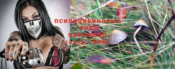 таблы Богородск