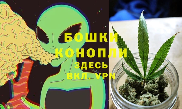 сатива Богородицк