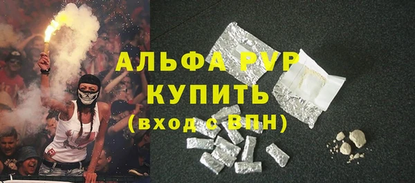 сатива Богородицк