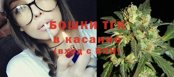 сатива Богородицк