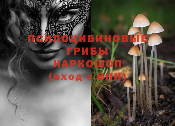 таблы Богородск