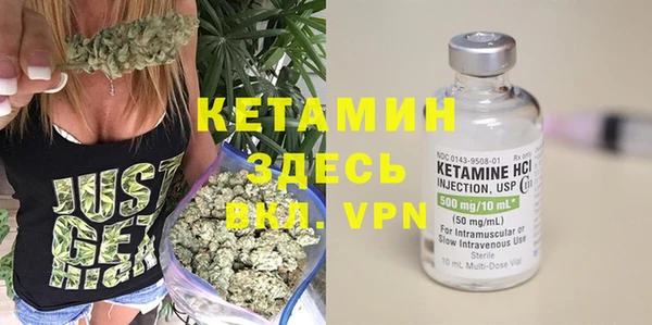 сатива Богородицк