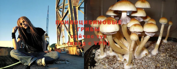 таблы Богородск